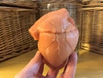 Modelo 3d de Rompecabezas anatómico del corazón para impresoras 3d