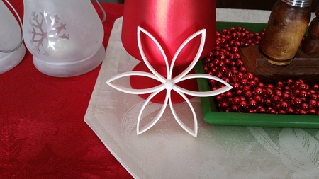  Christmas flower with center ball  3d model for 3d printers