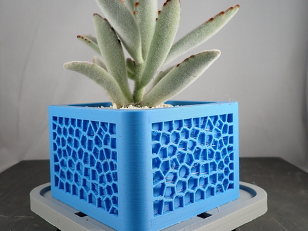  Voronoi planter  3d model for 3d printers