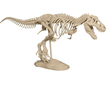 T-Rex Esqueleto