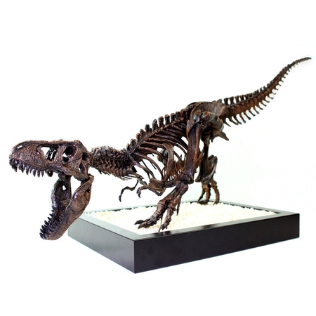 T-Rex Esqueleto - Leo Burton Monte