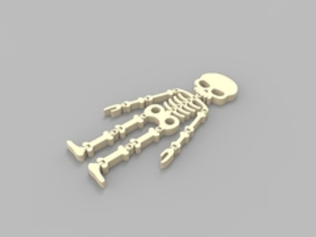 Flexi Esqueleto