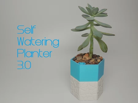 Self-watering Planter 3